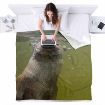 European Otter (Lutra Lutra Lutra) Blankets 85425169