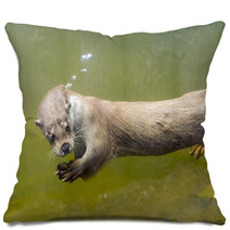 European Otter (Lutra Lutra Lutra) Pillows 85425034