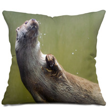 European Otter (Lutra Lutra Lutra) Pillows 85425109