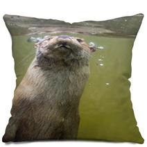 European Otter (Lutra Lutra Lutra) Pillows 85425169