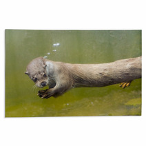 European Otter (Lutra Lutra Lutra) Rugs 85425034