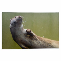 European Otter (Lutra Lutra Lutra) Rugs 85425109