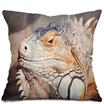 Exotics Pillows 67418505