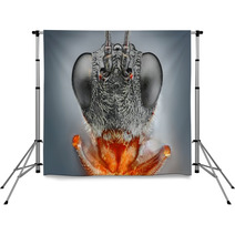 Extreme Detailed And Sharp Microscopic Image Of A Wasp Backdrops 52664017