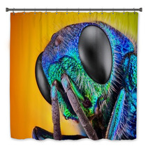 Extreme Sharp And Detailed Study Of 6 Mm Cuckoo Wasp Bath Decor 62909478