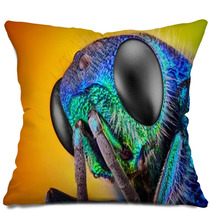 Extreme Sharp And Detailed Study Of 6 Mm Cuckoo Wasp Pillows 62909478