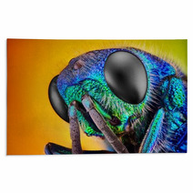 Extreme Sharp And Detailed Study Of 6 Mm Cuckoo Wasp Rugs 62909478