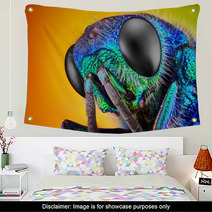 Extreme Sharp And Detailed Study Of 6 Mm Cuckoo Wasp Wall Art 62909478