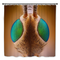 Extreme Sharp And Detailed View Of Crane Fly (Tipula) Bath Decor 62909454