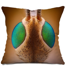 Extreme Sharp And Detailed View Of Crane Fly (Tipula) Pillows 62909454