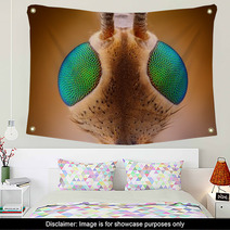 Extreme Sharp And Detailed View Of Crane Fly (Tipula) Wall Art 62909454
