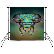 Extreme Sharp And Detailed View Of Green Metallic Bug Backdrops 62909216