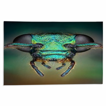 Extreme Sharp And Detailed View Of Green Metallic Bug Rugs 62909216