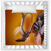 Extreme Sharp And Detailed View Of Robber Fly Head Nursery Decor 62909483
