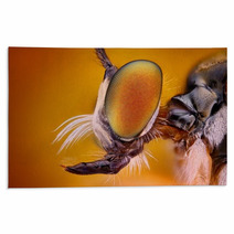 Extreme Sharp And Detailed View Of Robber Fly Head Rugs 62909483
