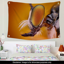 Extreme Sharp And Detailed View Of Robber Fly Head Wall Art 62909483