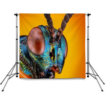 Extreme Sharp And Detailed View Of Small Metallic Wasp Backdrops 62909452