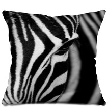 Face Of The Zebra Pillows 52139388