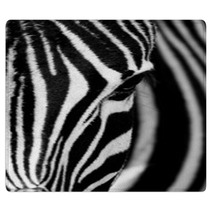 Face Of The Zebra Rugs 52139388
