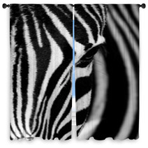 Face Of The Zebra Window Curtains 52139388