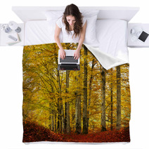 Fairytale Foggy Forest For Child And Fantasy Books Blankets 58879947