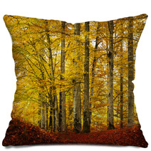 Fairytale Foggy Forest For Child And Fantasy Books Pillows 58879947