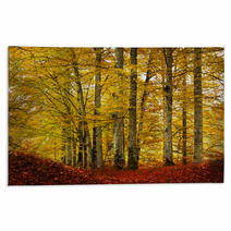 Fairytale Foggy Forest For Child And Fantasy Books Rugs 58879947