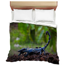 Faithful Dangerous Scorpions. Bedding 83798036