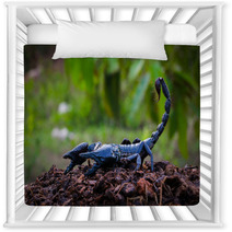 Faithful Dangerous Scorpions. Nursery Decor 83798036