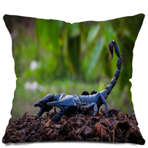 Faithful Dangerous Scorpions. Pillows 83798036