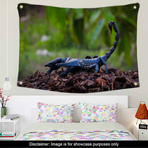 Faithful Dangerous Scorpions. Wall Art 83798036