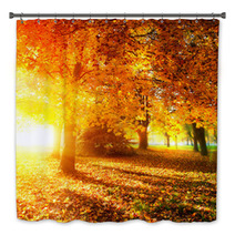Fall. Autumnal Park. Autumn Trees And Leaves In Sunlight Rays Bath Decor 56726549