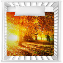 Fall. Autumnal Park. Autumn Trees And Leaves In Sunlight Rays Nursery Decor 56726549