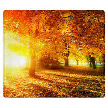 Fall. Autumnal Park. Autumn Trees And Leaves In Sunlight Rays Rugs 56726549