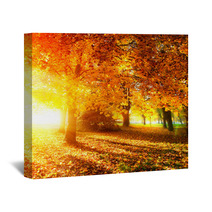 Fall. Autumnal Park. Autumn Trees And Leaves In Sunlight Rays Wall Art 56726549