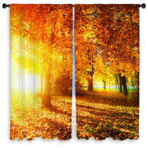 Fall. Autumnal Park. Autumn Trees And Leaves In Sunlight Rays Window Curtains 56726549