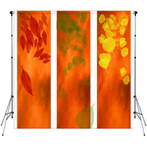 Fall Of The Leaves Backdrops 1996609