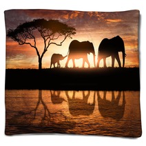 Family Of Elephants Blankets 162286240