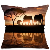 Family Of Elephants Pillows 162286240