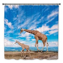 Family Of Giraffes Goes Against The Blue Sky Bath Decor 57876421