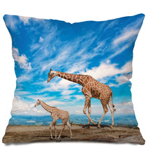  Family Of Giraffes Goes Against The Blue Sky Pillows 57876421