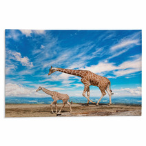  Family Of Giraffes Goes Against The Blue Sky Rugs 57876421