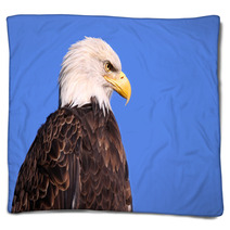 Famous American Bald Eagle Against Blue Sky Blankets 31108812