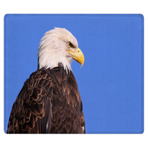 Famous American Bald Eagle Against Blue Sky Rugs 31108812