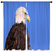 Famous American Bald Eagle Against Blue Sky Window Curtains 31108812