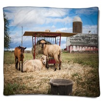 Farming Blankets 158631950