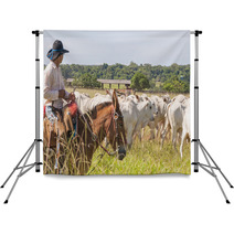 Fazenda Mato Grosso Gado Nelore, Farm Nelore Cattle In Brazil Backdrops 56598481