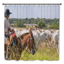 Fazenda Mato Grosso Gado Nelore, Farm Nelore Cattle In Brazil Bath Decor 56598481