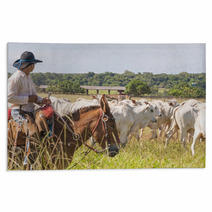 Fazenda Mato Grosso Gado Nelore, Farm Nelore Cattle In Brazil Rugs 56598481