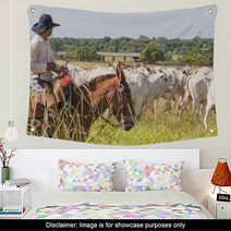 Fazenda Mato Grosso Gado Nelore, Farm Nelore Cattle In Brazil Wall Art 56598481
